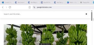 blog publi.jpg