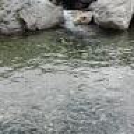 martincho@